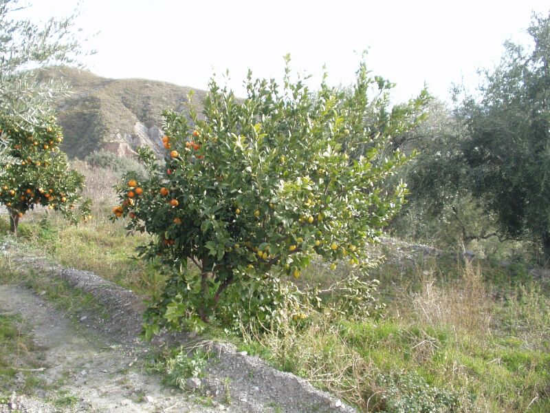 montenegro